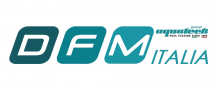Logo DFM Italia